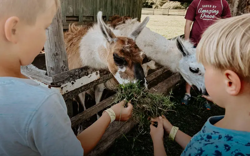 Ranč Zoo
