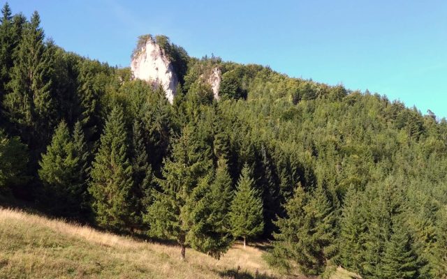 Ferrata-05-14 o 13.04.36