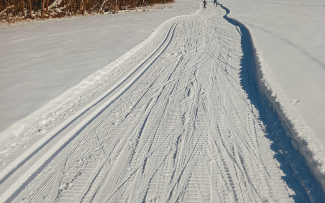 Bezškárka trať