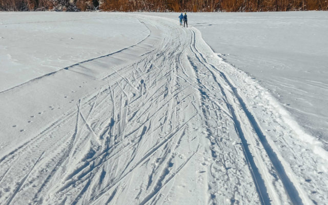 Bezškárka trať