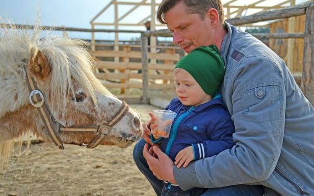 KONTAKTNA ZOO LIPTOVSKY MIKULÁŠ384